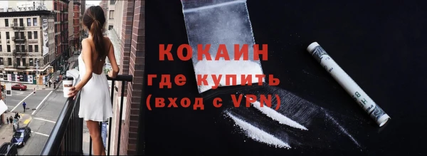 молекула духа Арсеньев