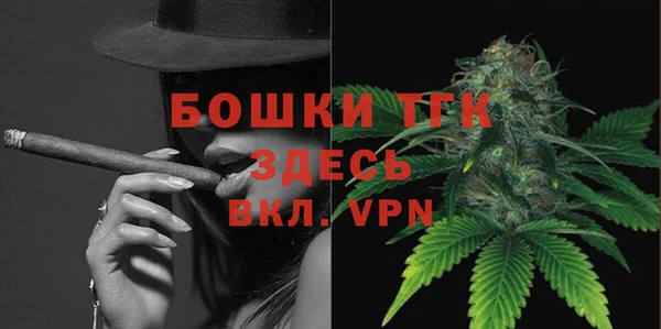 дурь Осташков