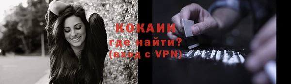 твердый Аркадак