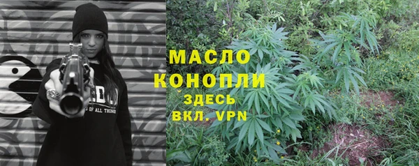 молекула духа Арсеньев