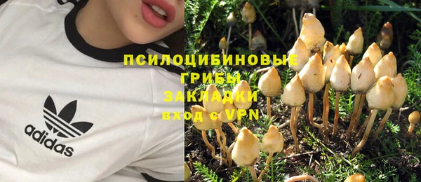 молекула духа Арсеньев