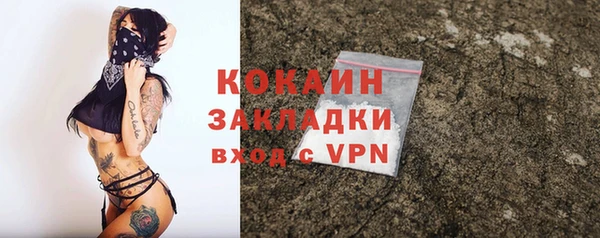 твердый Аркадак