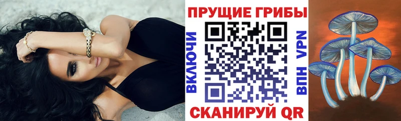 Галлюциногенные грибы GOLDEN TEACHER  Сортавала 